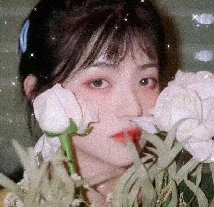 荼靡